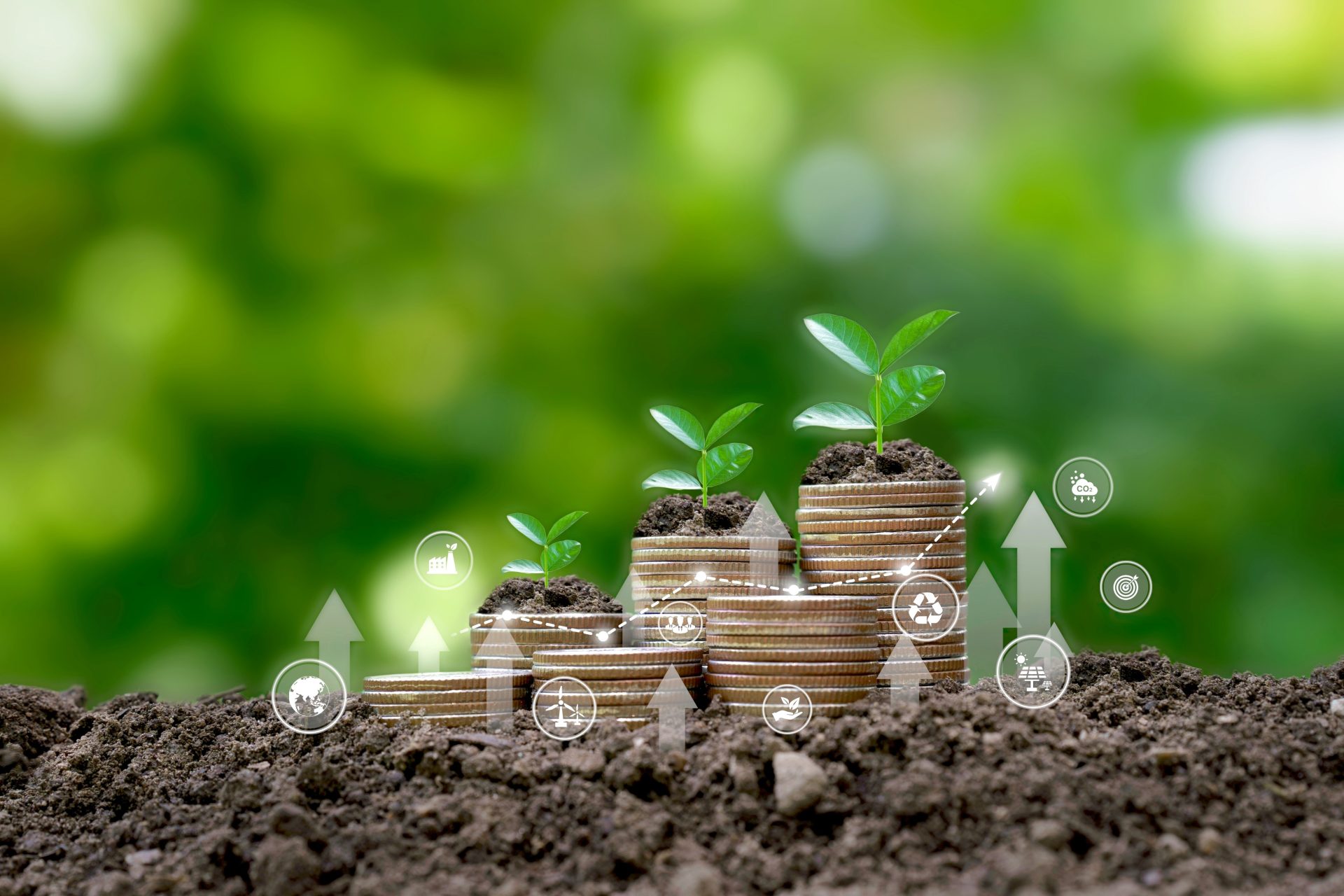 Fund image