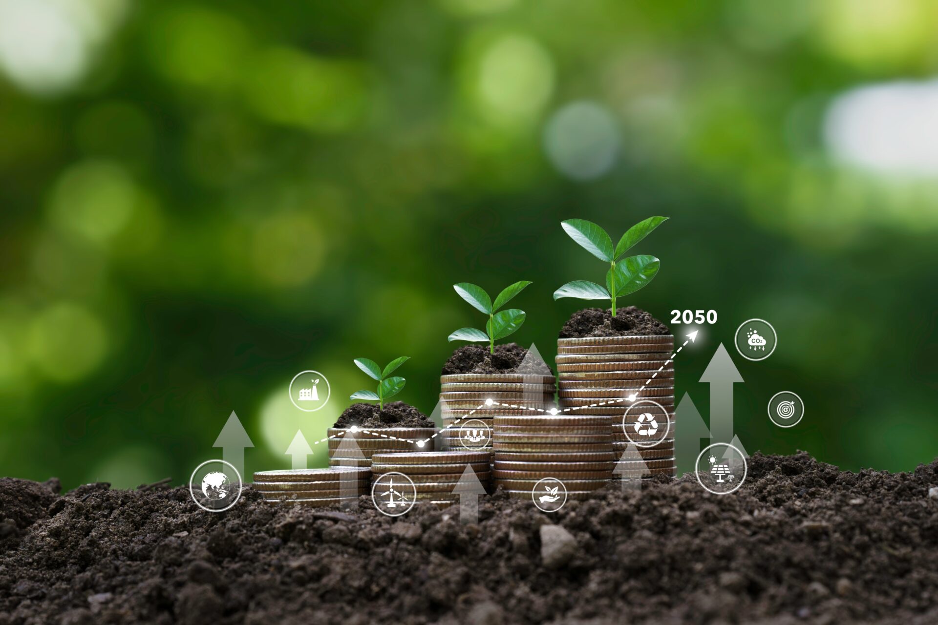 Fund image