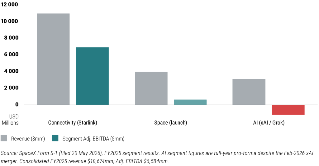FY2025 Segment Revenue vs. Segment Adjusted EBITDA