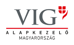 logo_vig