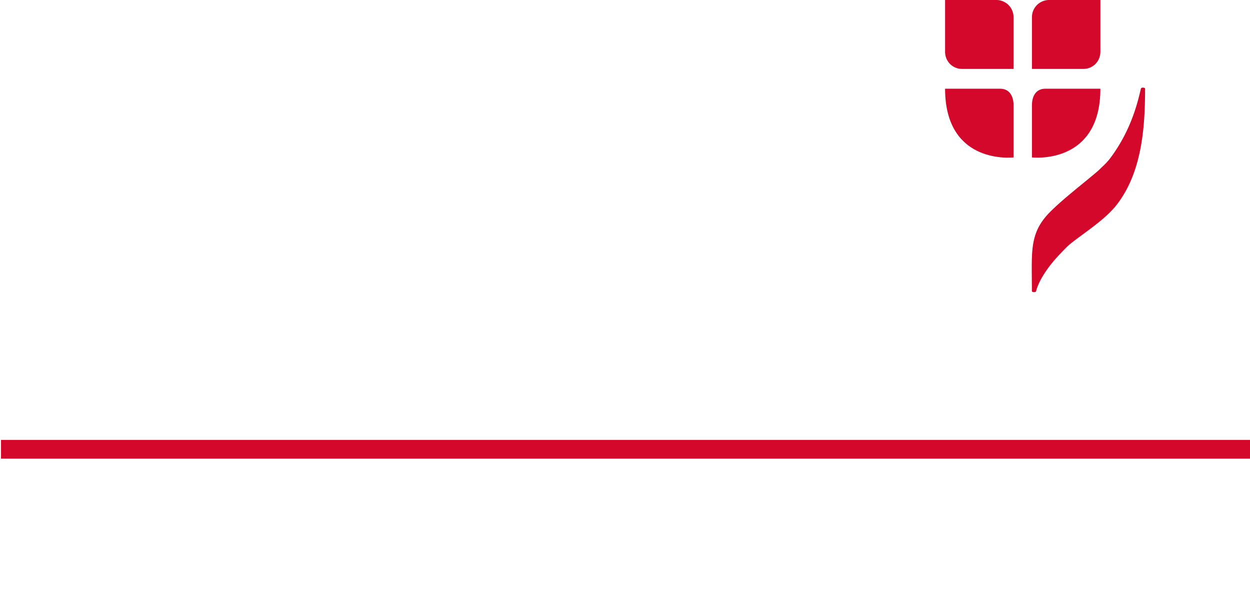 Vienna Insurance Group