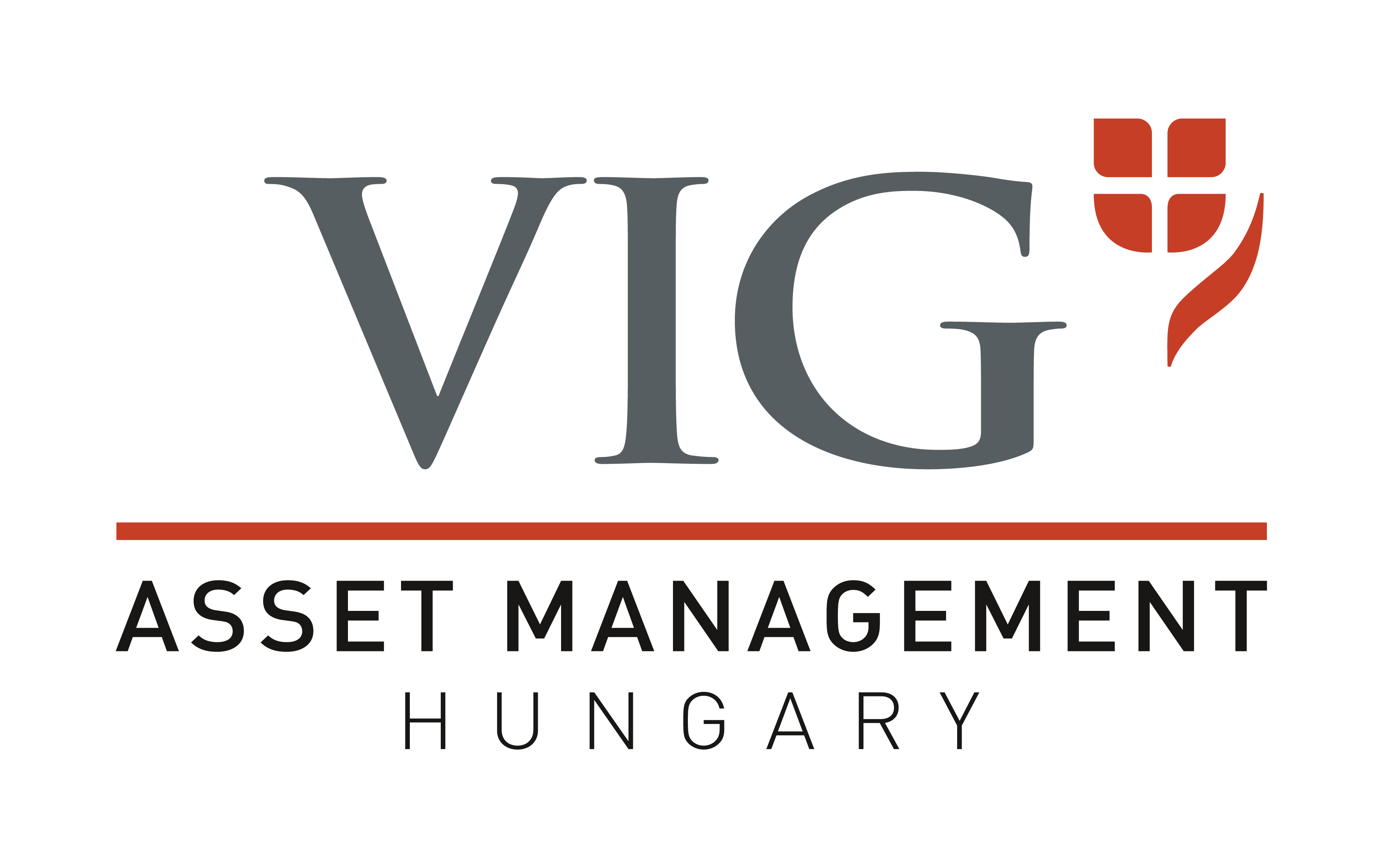 VIG | Fund Manager